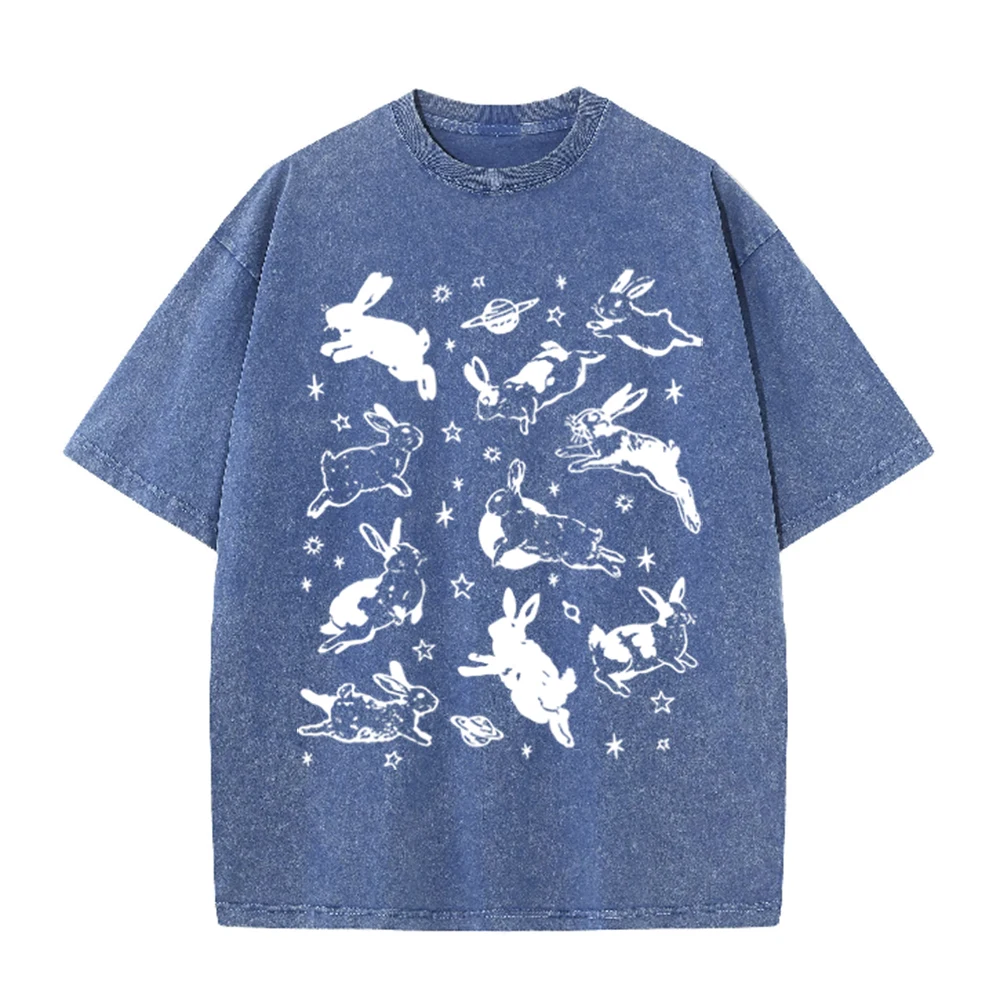 2026年ヴィンテージ宇宙ウサギ惑星スターグラフィックブラッ - Acid Wash Vintage Graphic T Shirt のレビューと価格